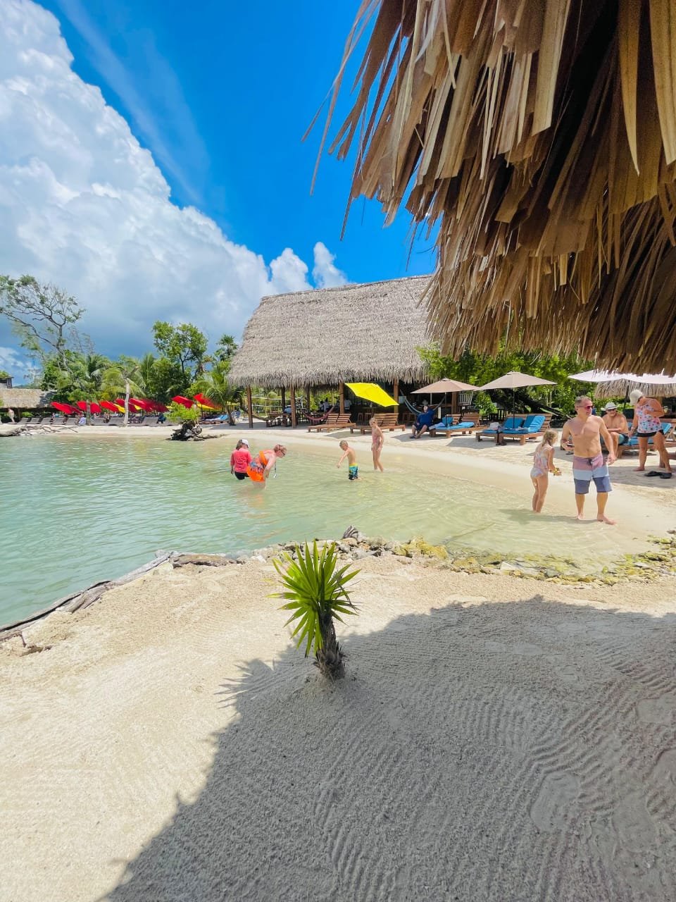 Brady's Cay Day pass + Sloths Hangout - Imagen 3