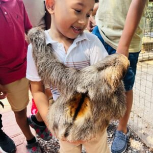 AJ's Sloths & Monkeys Hangout