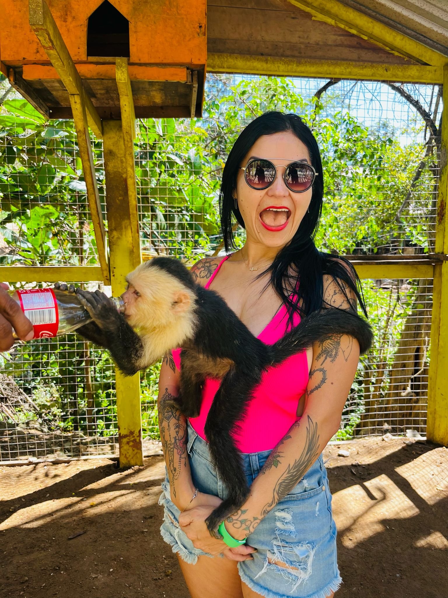 Island Tour, Zipline, Sloths & Beach Break - Imagen 12