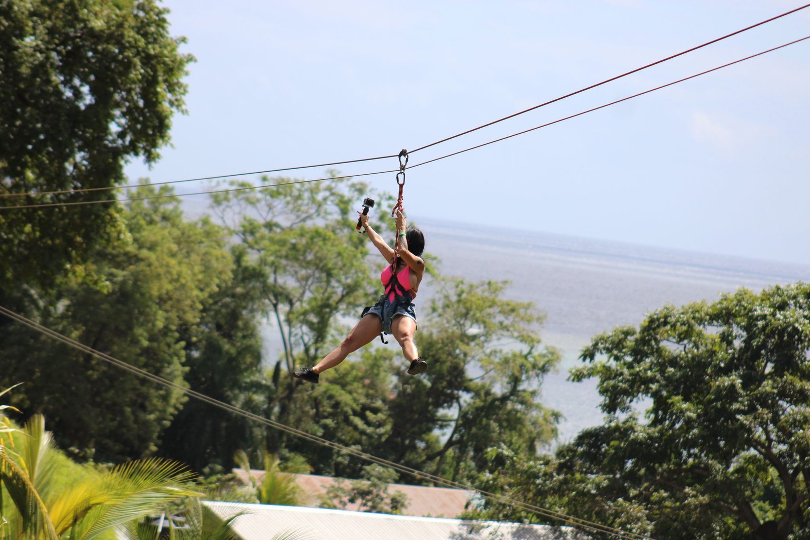 Island Tour, Zipline, Sloths & Beach Break