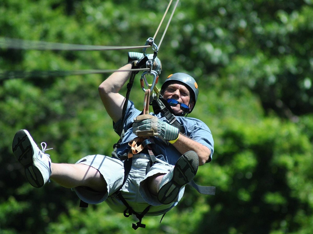 Island Tour, Zipline, Sloths & Beach Break - Imagen 10