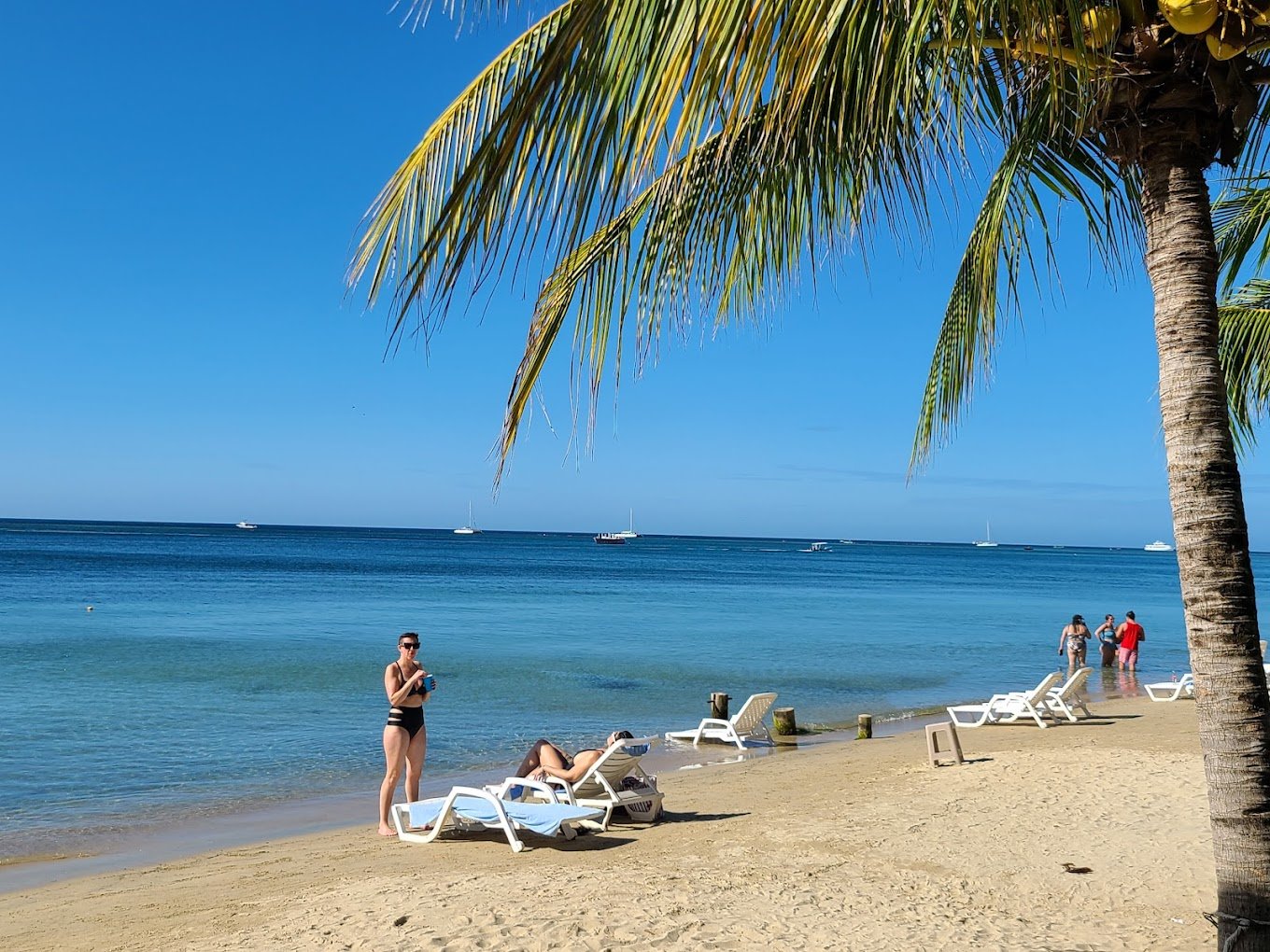 Island Tour, Zipline, Sloths & Beach Break - Imagen 4